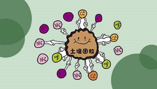 生物有机肥注意事项